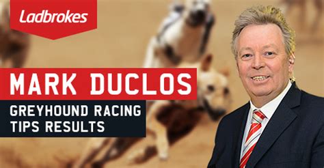 bgrb results|ladbrokes greyhound results.